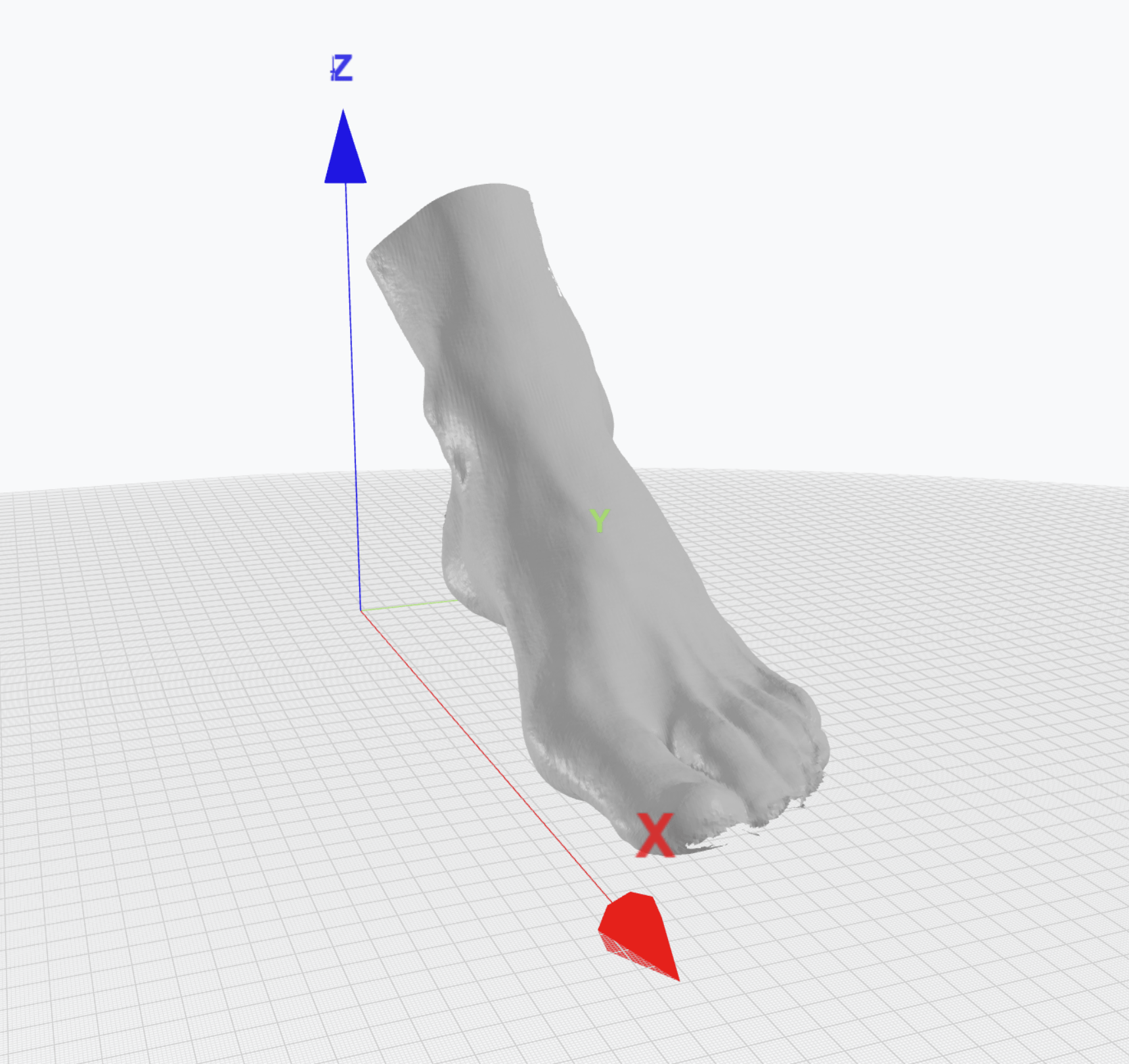 Correct foot scan orientation example